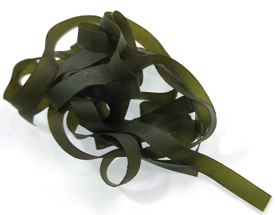 Scud Back - Misc. Synthetics - Fly Fish Food