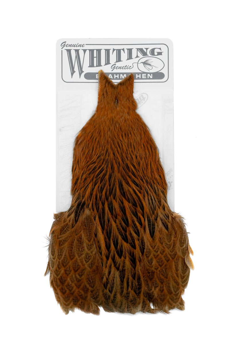 Brahma Hen Cape - Hackle - Fly Fish Food