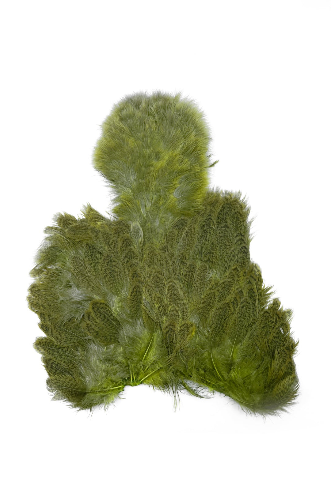 Brahma Hen Soft Hackle w/ Chickabou