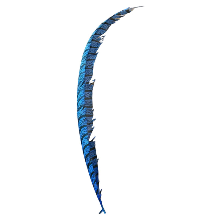 Lady Amherst Center Tail Feather - Feathers &amp; Marabou - Fly Fish Food