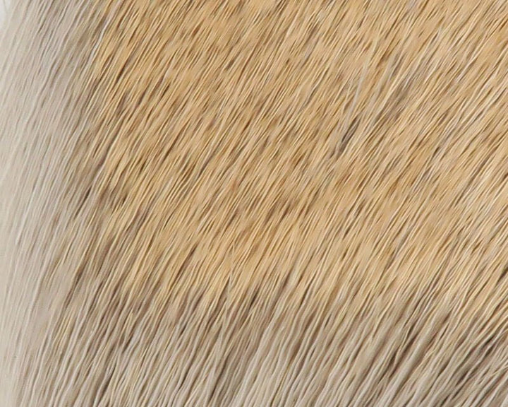 Coastal Deer Hair - Hair &amp; Fur - Fly Fish Food