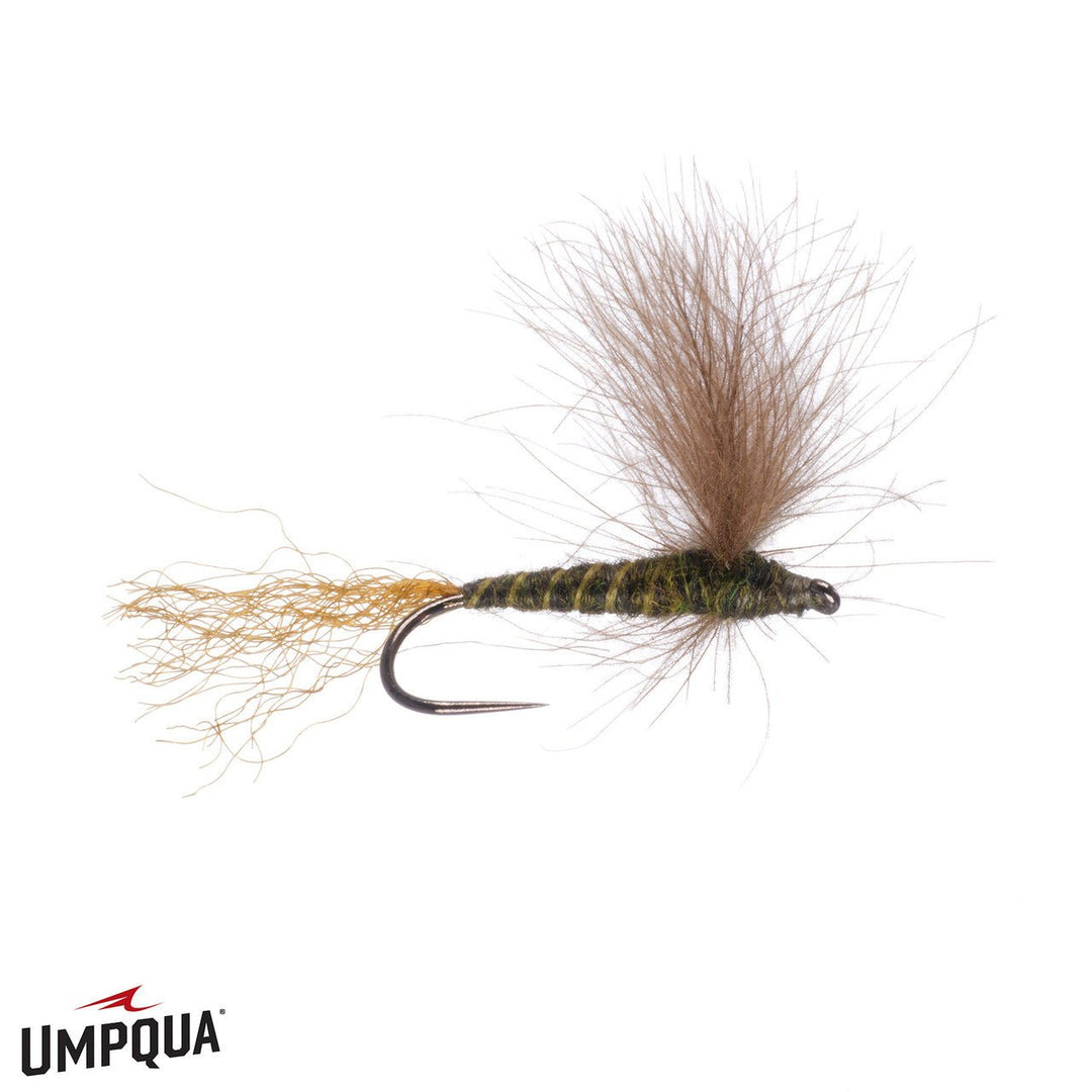 CDC Sparkle Dun - Green Drake - Flies - Fly Fish Food