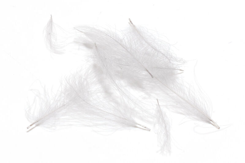 Hareline - Premium CDC (Cul De Canard) - Feathers &amp; Marabou - Fly Fish Food