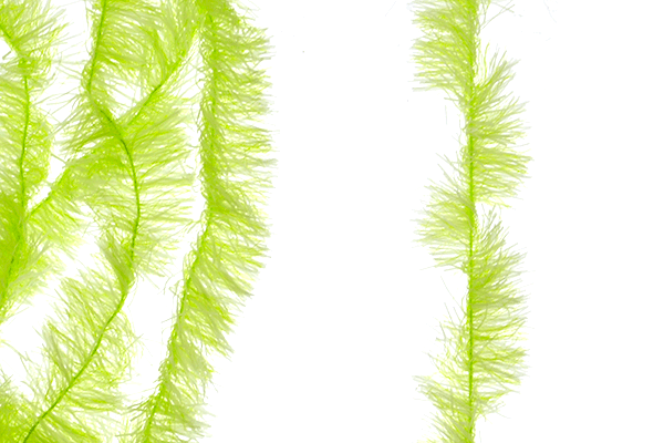 Senyo's Super Satin Chenille - 20MM - Chenille - Fly Fish Food