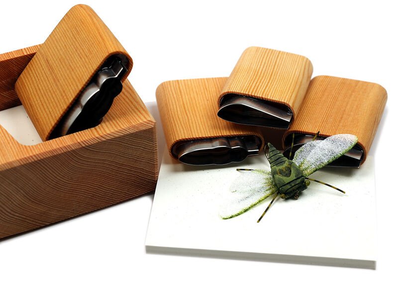 Annual Cicada Cutter Set - Foam &amp; Bodies - Fly Fish Food