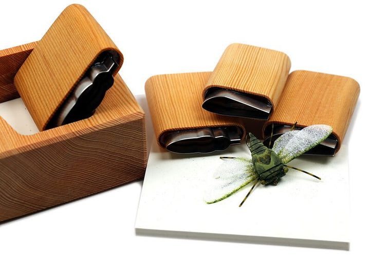 Annual Cicada Cutter Set - Foam &amp; Bodies - Fly Fish Food