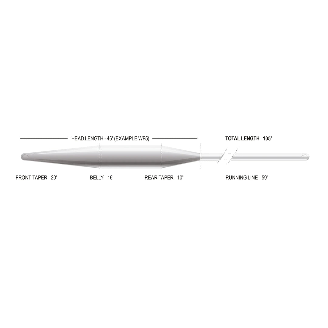 Airflo Delta Taper - Clear Intermediate - Fly Lines - Fly Fish Food