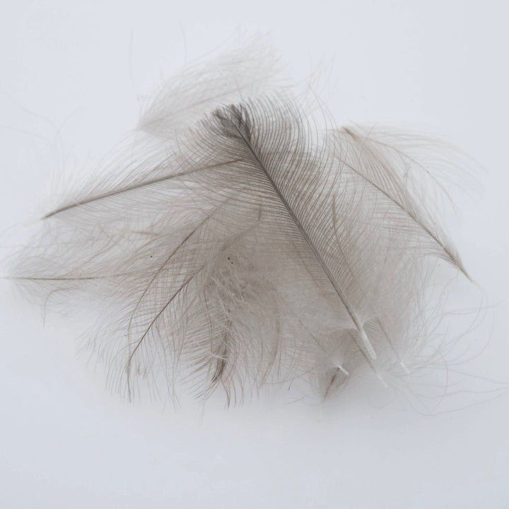 Canada Goose CDC - Natural Blue Dun CDC - Feathers &amp; Marabou - Fly Fish Food