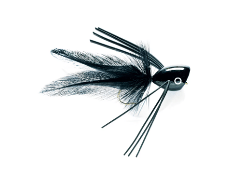 Bass Popper Black - Flies - Fly Fish Food