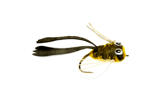 Dry Rind Frog Popper - Flies - Fly Fish Food