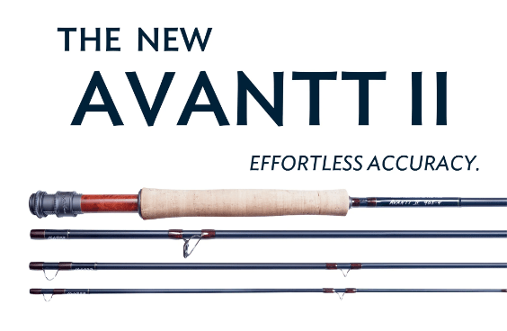 Thomas &amp; Thomas - AVANTT ll Fly Rod - Rods - Fly Fish Food