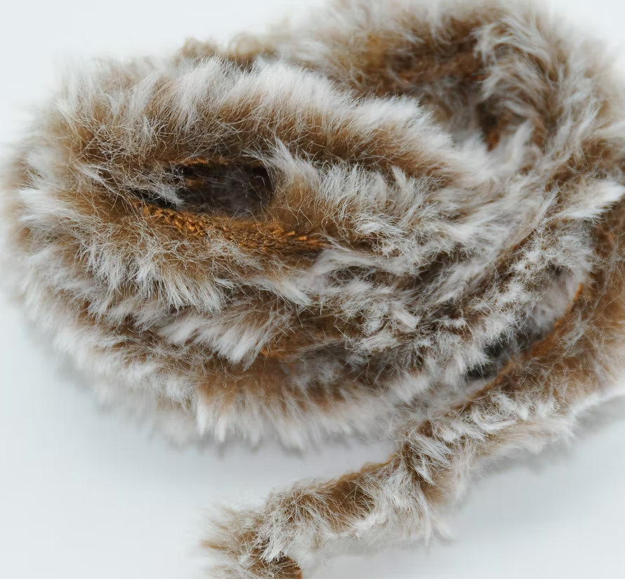 Hawgfish Pseudo Squirrel