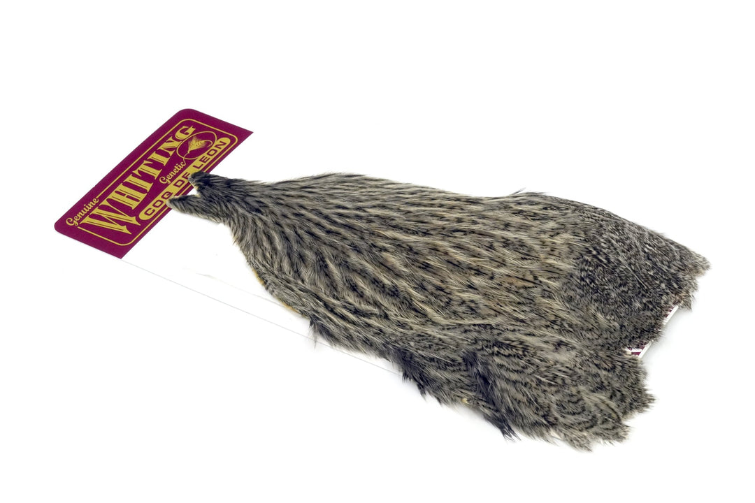 Coq de Leon Hen Cape