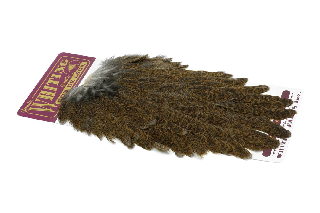 Coq de Leon Hen Saddle - Hackle - Fly Fish Food