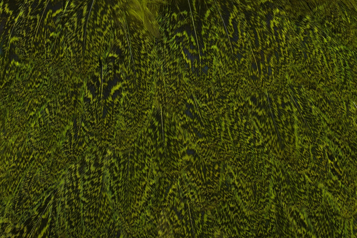 Coq de Leon Hen Saddle - Hackle - Fly Fish Food