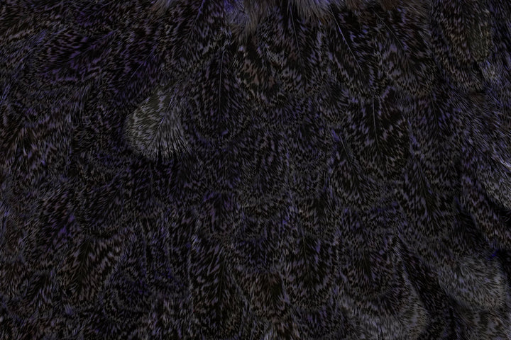 Coq de Leon Hen Saddle - Hackle - Fly Fish Food