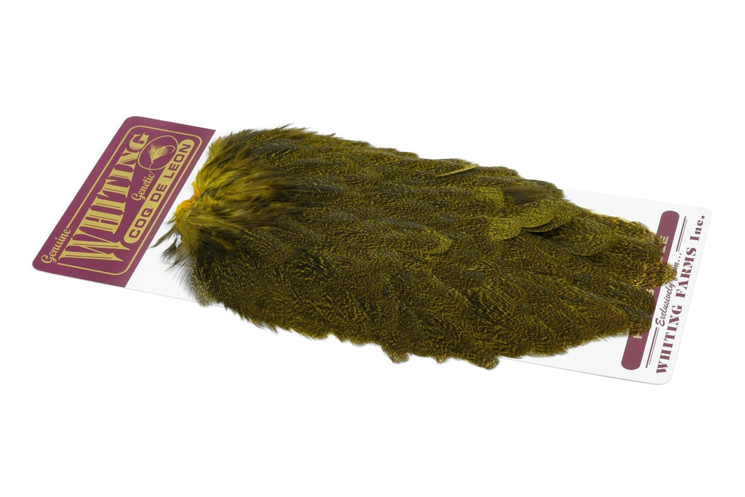 Coq de Leon Hen Saddle - Hackle - Fly Fish Food