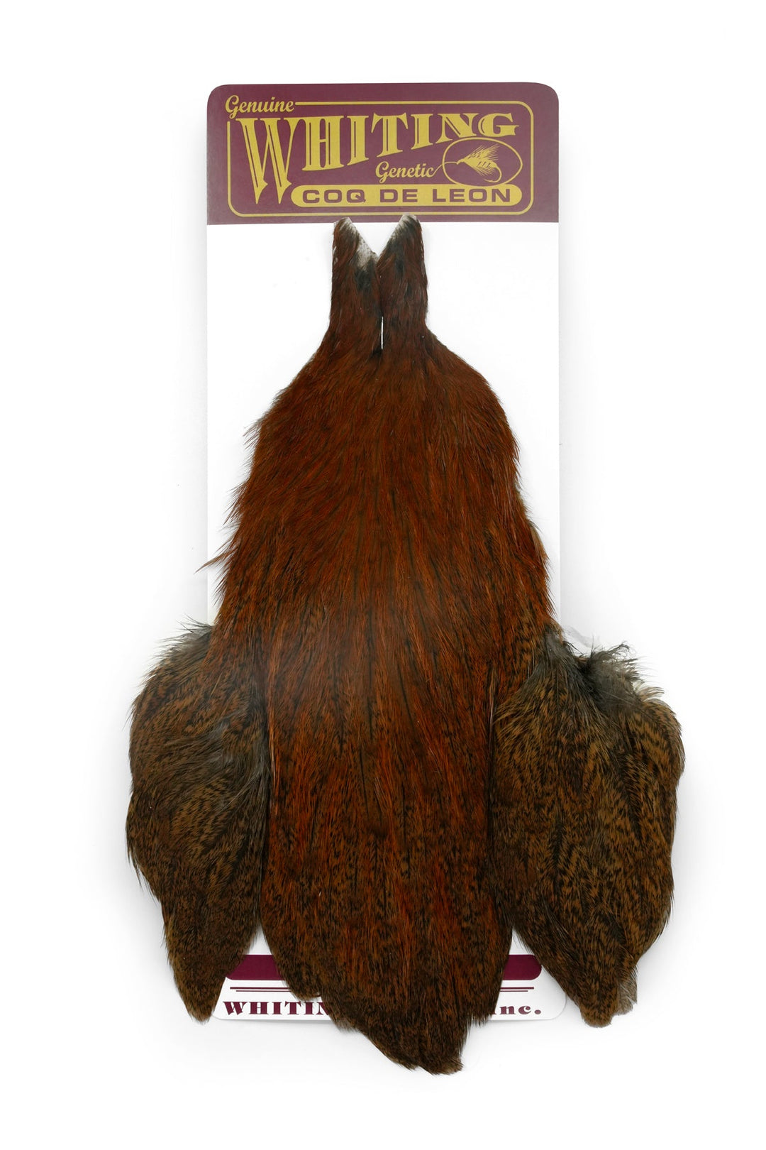 Coq de Leon Hen Cape