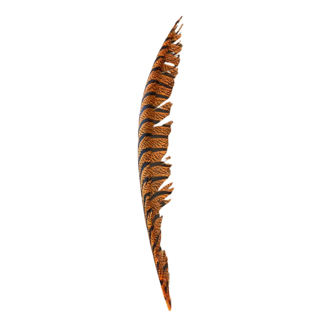 Lady Amherst Center Tail Feather - Feathers &amp; Marabou - Fly Fish Food