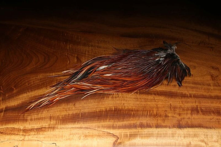 Dyed over White Saddle Patch - Brown - Hackle - Fly Fish Food