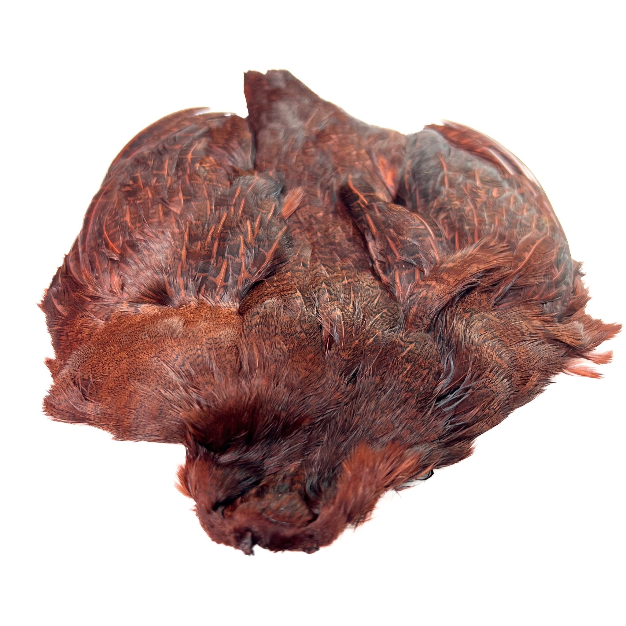 Dyed Hungarian Partridge - Full Pelt - Grade 1 - Hackle - Fly Fish Food