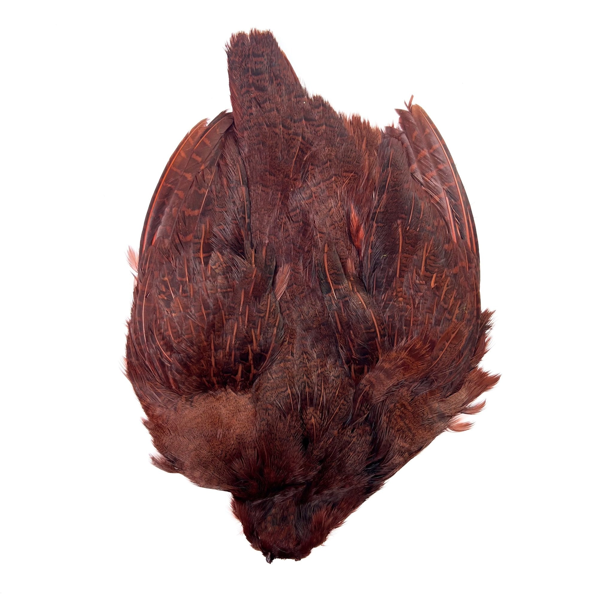 Dyed Hungarian Partridge - Full Pelt - Grade 1 - Hackle - Fly Fish Food