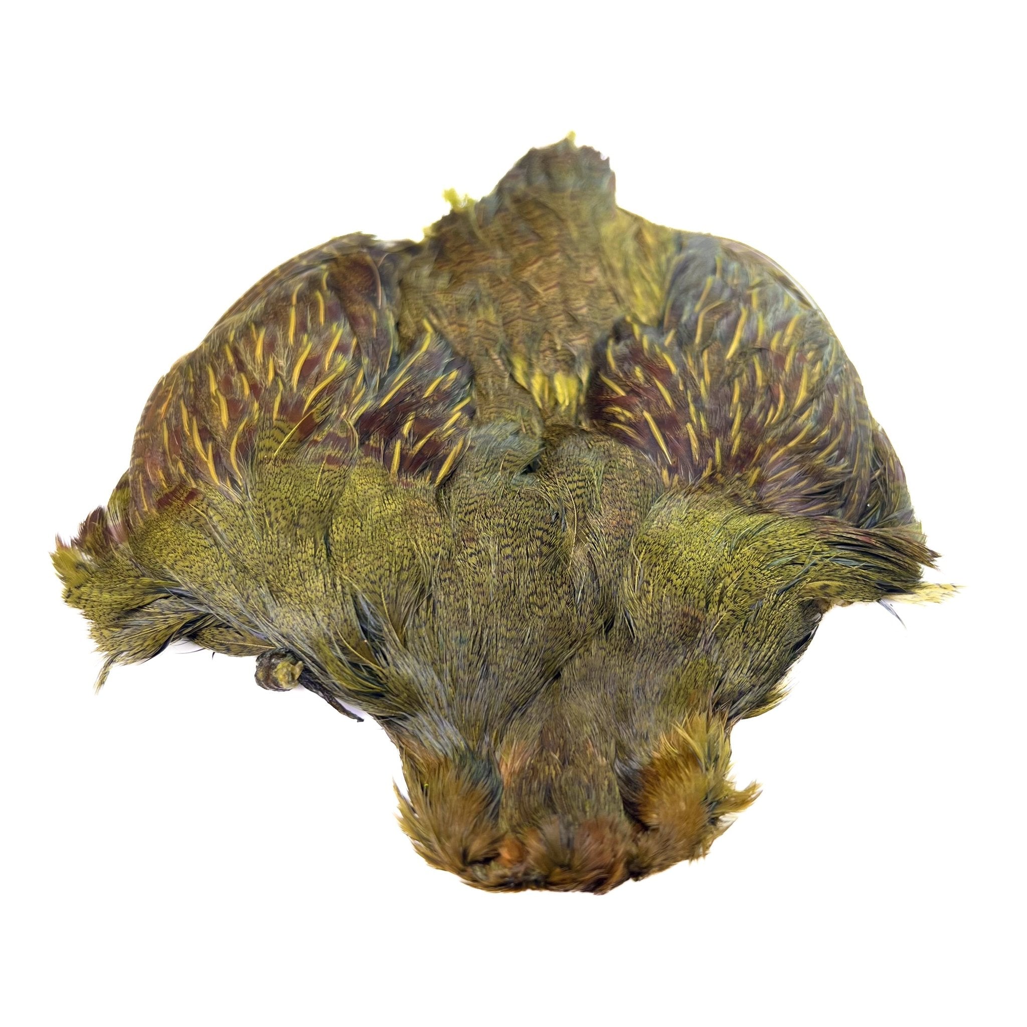 Dyed Hungarian Partridge - Full Pelt - Grade 1 - Hackle - Fly Fish Food