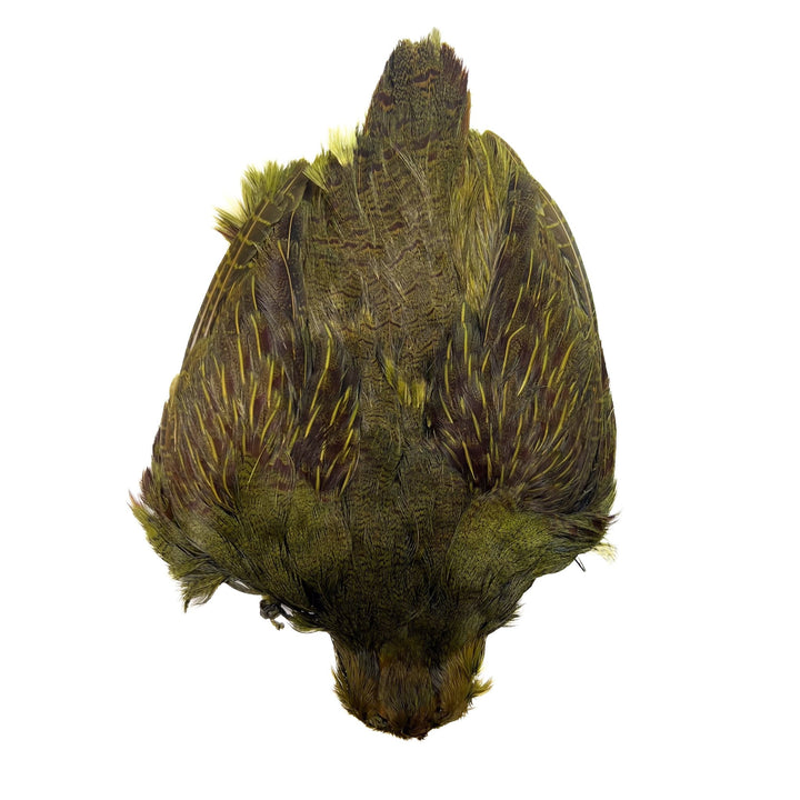 Dyed Hungarian Partridge - Full Pelt - Grade 1 - Hackle - Fly Fish Food
