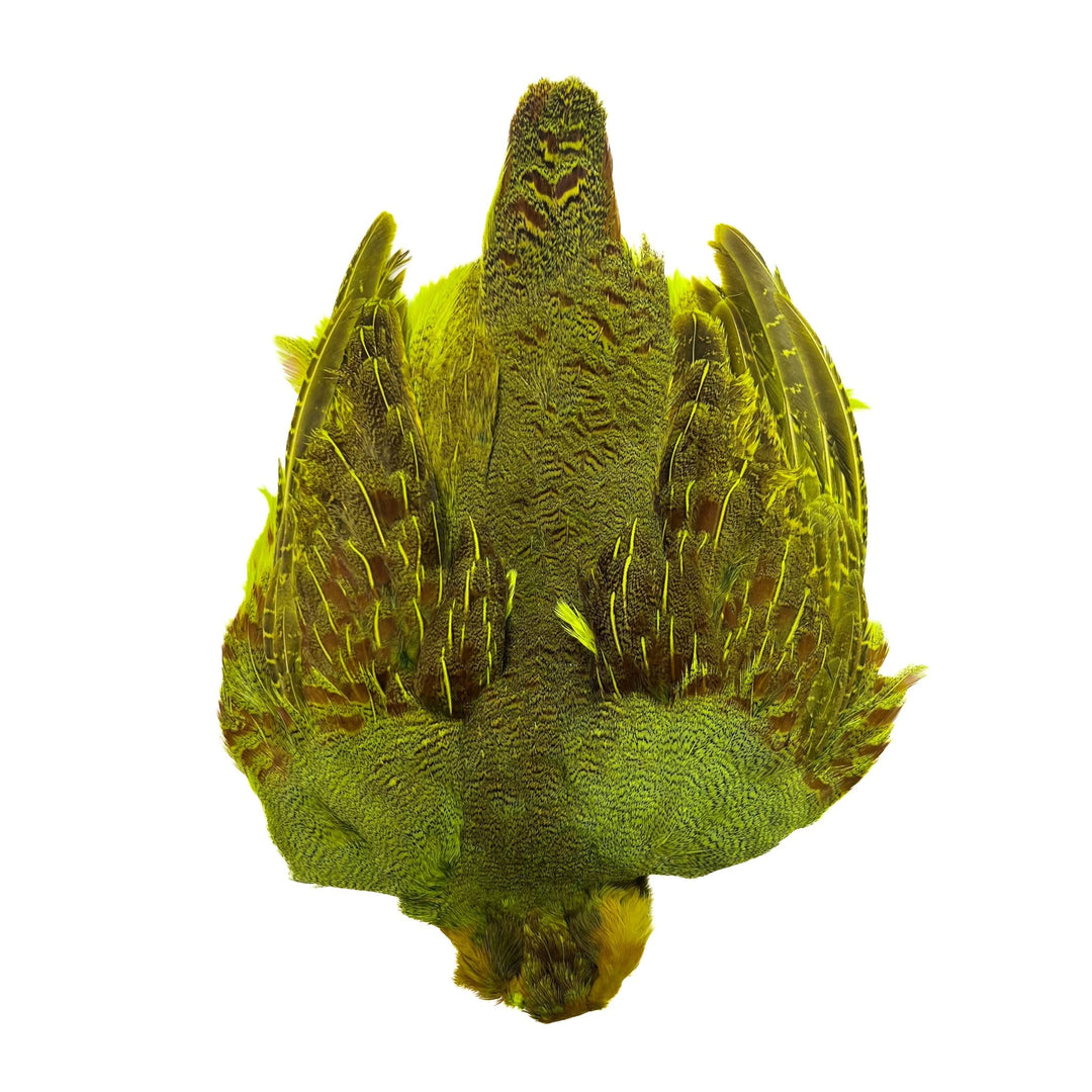 Dyed Hungarian Partridge - Full Pelt - Grade 1 - Hackle - Fly Fish Food