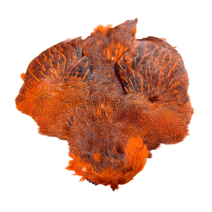 Dyed Hungarian Partridge - Full Pelt - Grade 1 - Hackle - Fly Fish Food