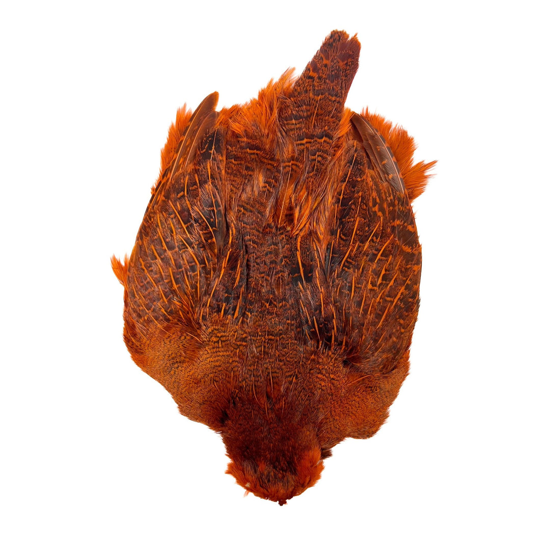 Dyed Hungarian Partridge - Full Pelt - Grade 1 - Hackle - Fly Fish Food