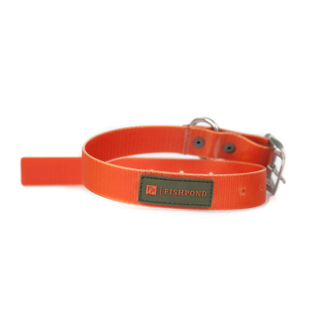 Fishpond Dog Collar - Accessories &amp; Misc - Fly Fish Food