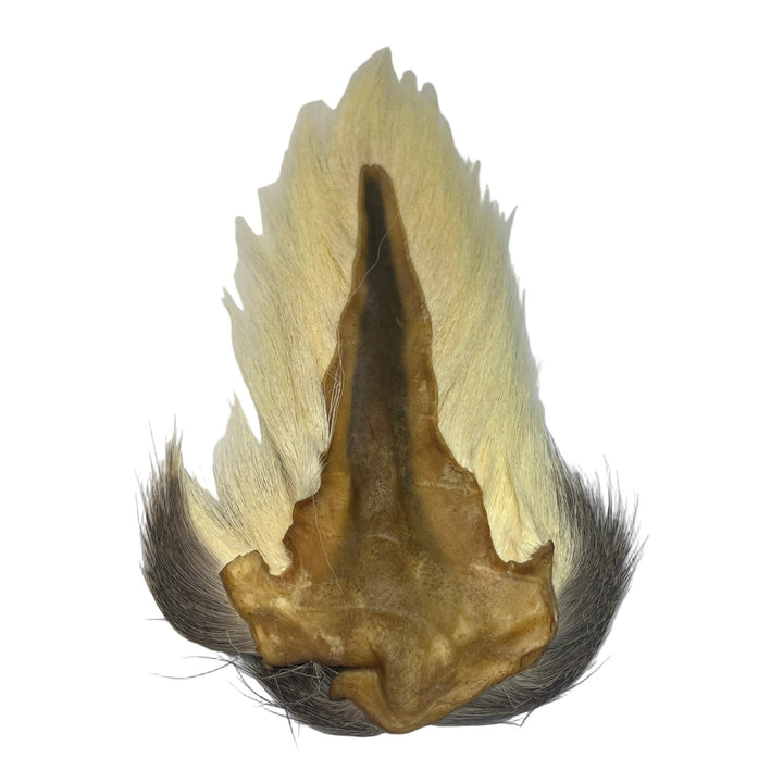 The Fly Hair Co. - Regular Bucktail - Hair &amp; Fur - Fly Fish Food