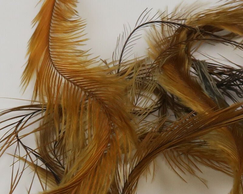 Emu Feathers - Feathers &amp; Marabou - Fly Fish Food