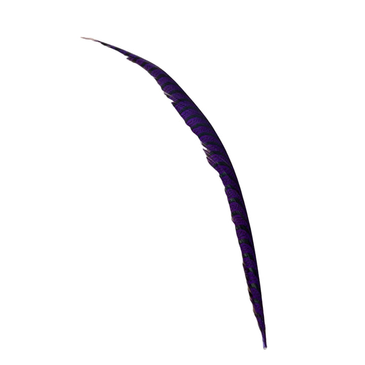 Lady Amherst Center Tail Feather - Feathers &amp; Marabou - Fly Fish Food