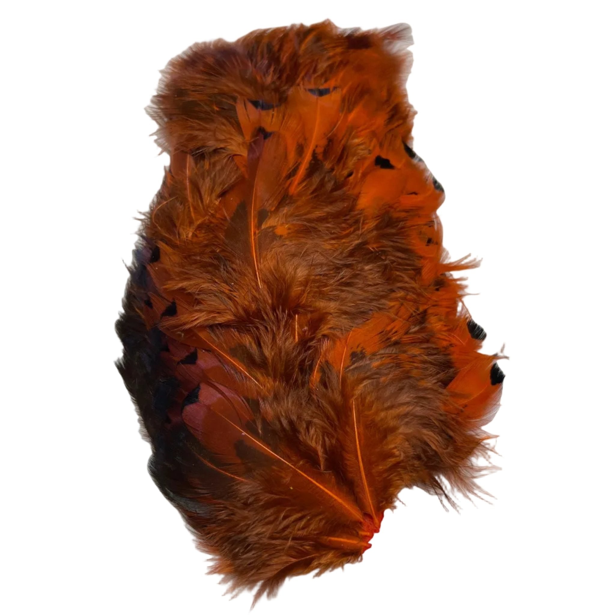 Pheasabou Flanks - Feathers & Marabou - Fly Fish Food