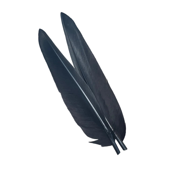 Duck Quills - 2 Pair - Feathers &amp; Marabou - Fly Fish Food