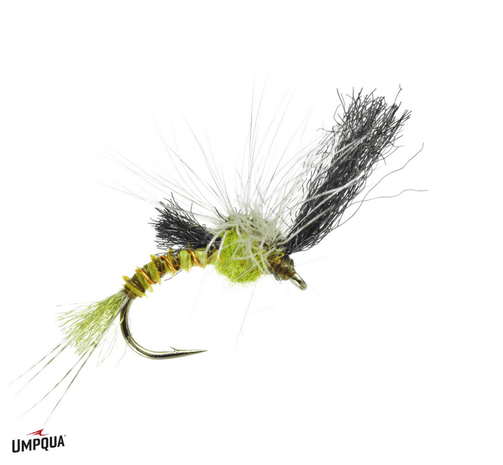 Film Critic Quigley - Green Drake - Flies - Fly Fish Food