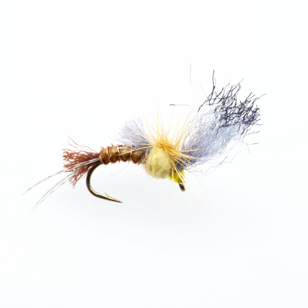 Film Critic Quigley - PMD - Flies - Fly Fish Food