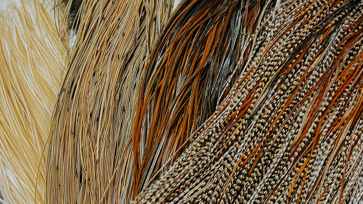 Rooster hackle feathers in bright colors with The Ultimate Flash Hackle text overlay