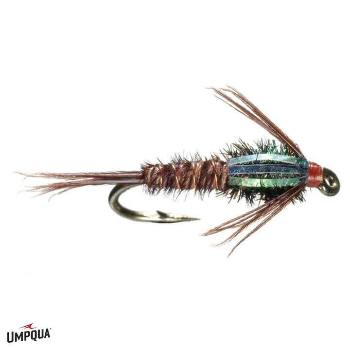 Flashback Pheasant Tail - Flies - Fly Fish Food