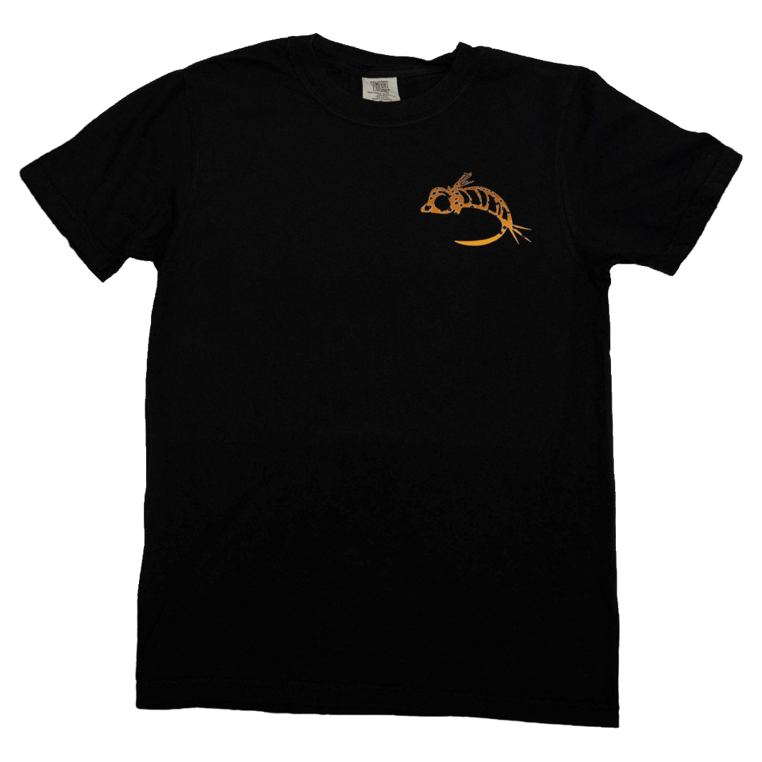 Fly Fish Food Brown Trout Logo Tee - Black - Apparel - Fly Fish Food