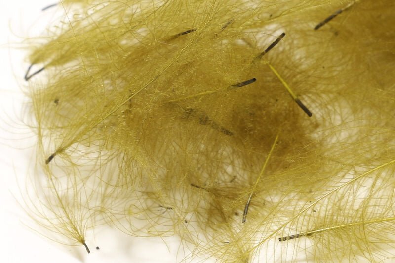 1 Gram Bulk Pack CDC - Feathers & Marabou - Fly Fish Food