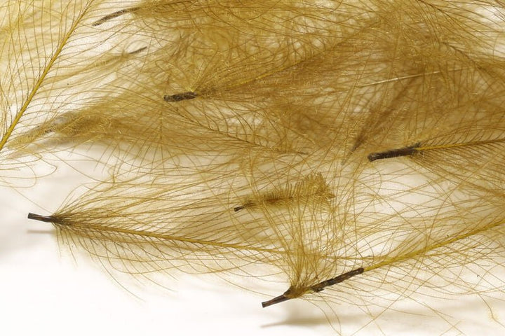 1 Gram Bulk Pack CDC - Feathers &amp; Marabou - Fly Fish Food