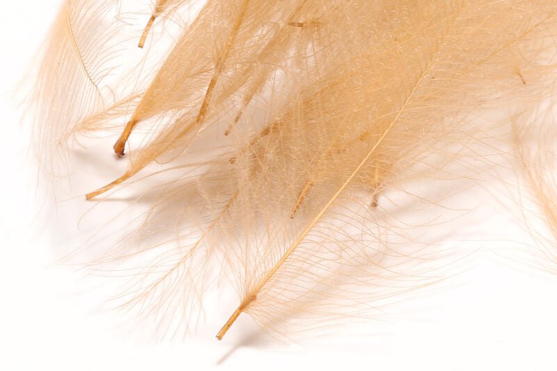 1 Gram Bulk Pack CDC - Feathers & Marabou - Fly Fish Food