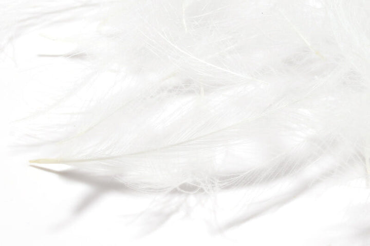 1 Gram Bulk Pack CDC - Feathers &amp; Marabou - Fly Fish Food
