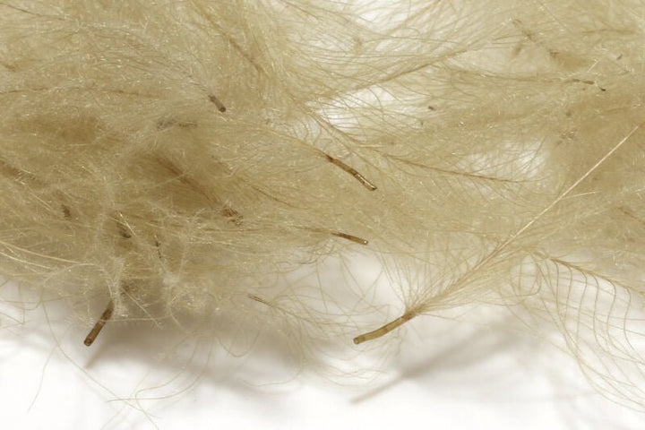 1 Gram Bulk Pack CDC - Feathers &amp; Marabou - Fly Fish Food