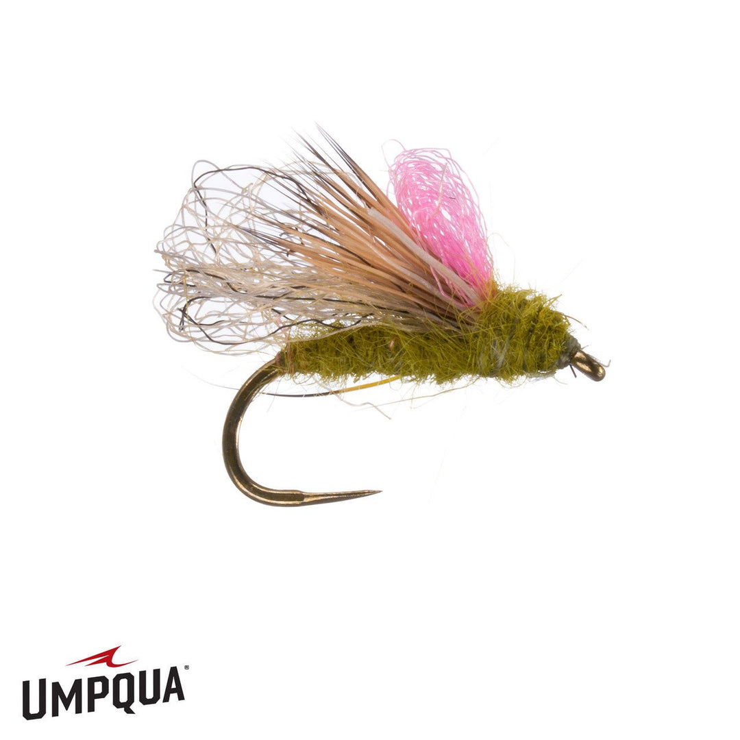 Hellion Caddis - Olive - Flies - Fly Fish Food