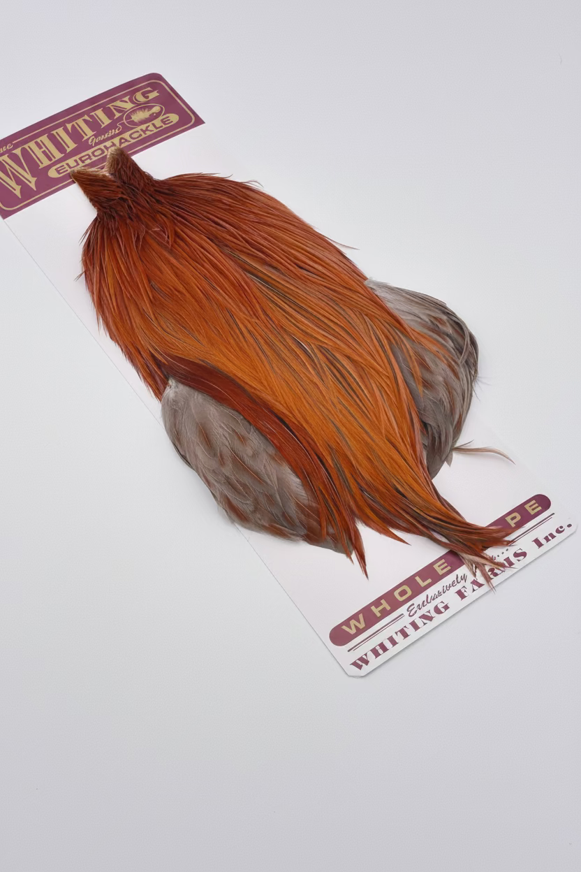 Whiting Eurohackle Cape