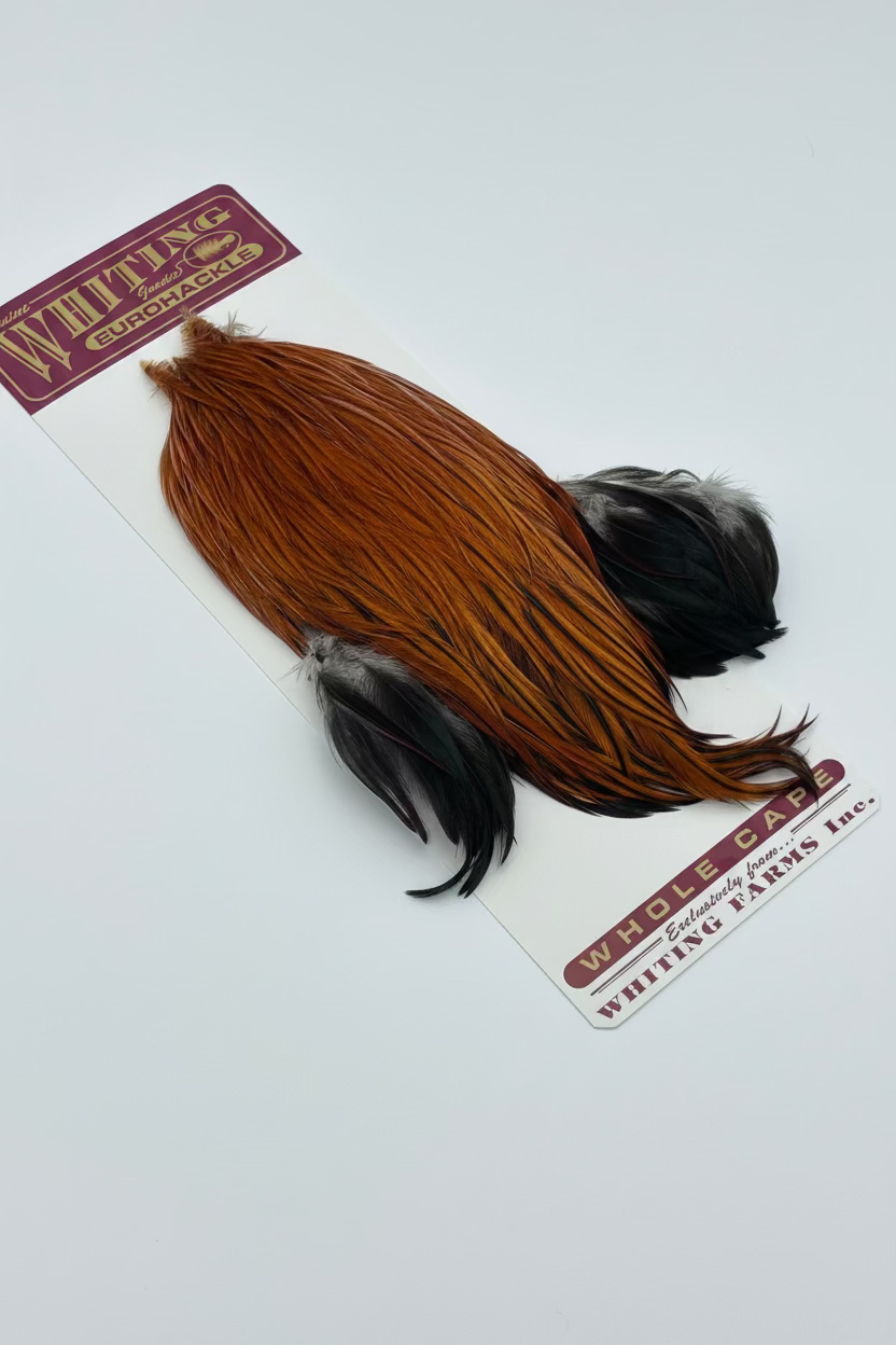 Whiting Eurohackle Cape